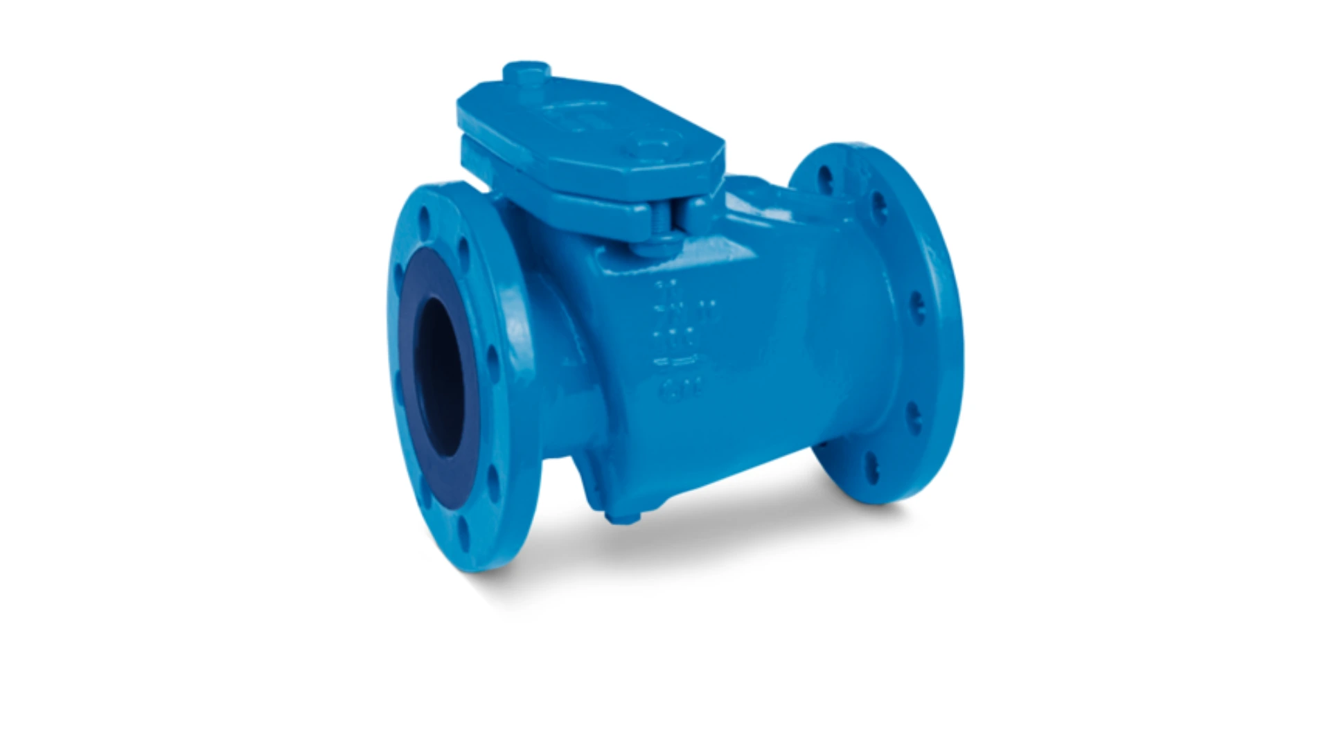 Check Valve